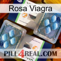 Pink Viagra viagra5